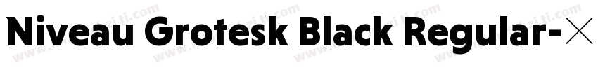 Niveau Grotesk Black Regular字体转换